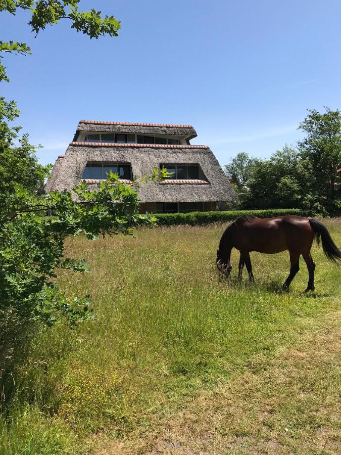 Waddenresidentie Ameland Nummer vier Buren  Buitenkant foto